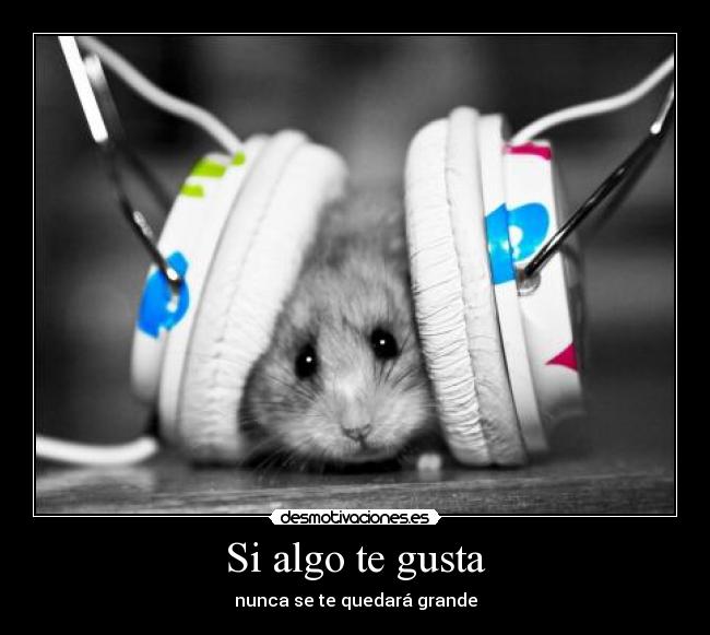 carteles quedar grande gustar algo nunca ely desmotivaciones