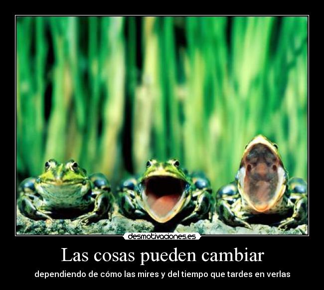 Las cosas pueden cambiar - 