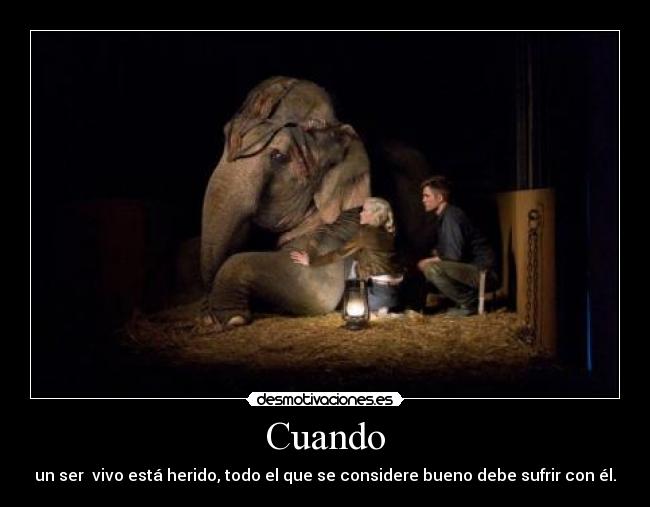 Cuando - un ser vivo está herido, todo el que se considere bueno debe sufrir con él.