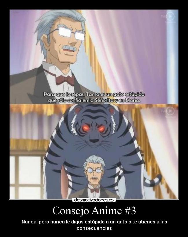 Consejo Anime #3 - 