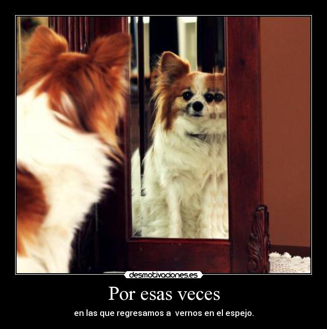 Por esas veces - en las que regresamos a vernos en el espejo.
