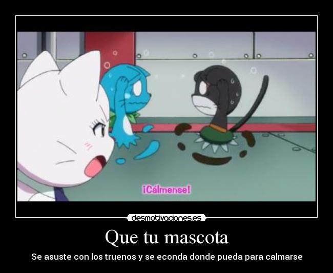 Que tu mascota - 
