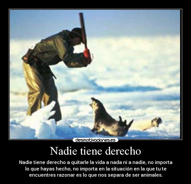 carteles razonar desmotivaciones