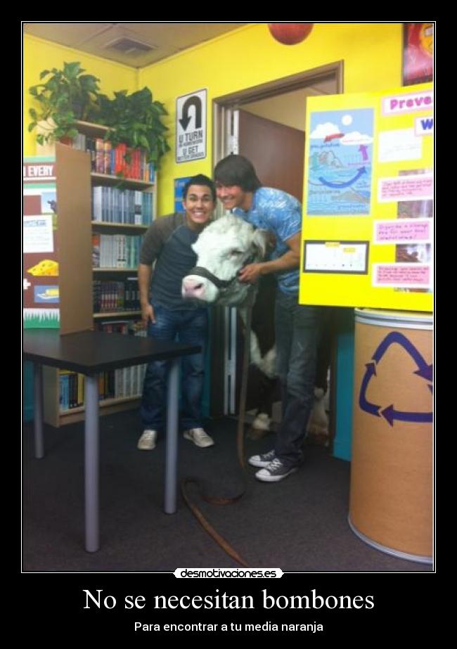 No se necesitan bombones - 