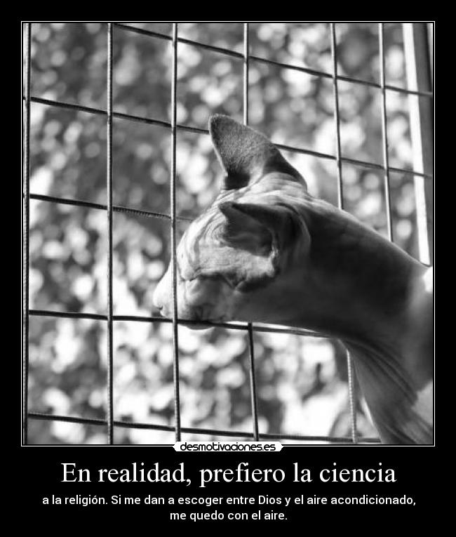 En realidad, prefiero la ciencia -