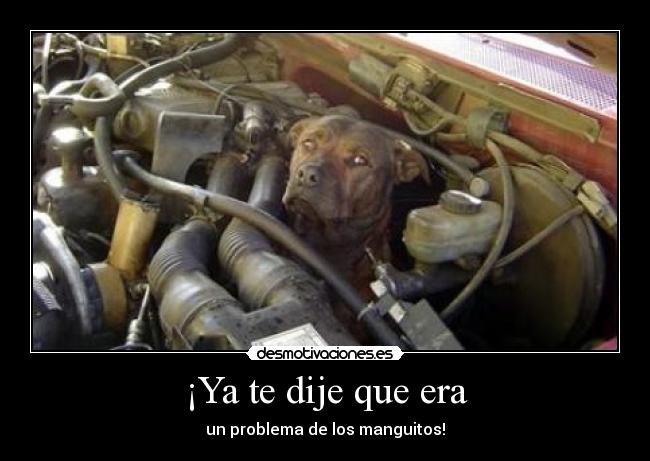 ¡Ya te dije que era -