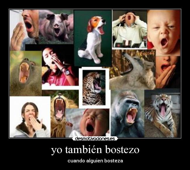 yo también bostezo - cuando alguien bosteza