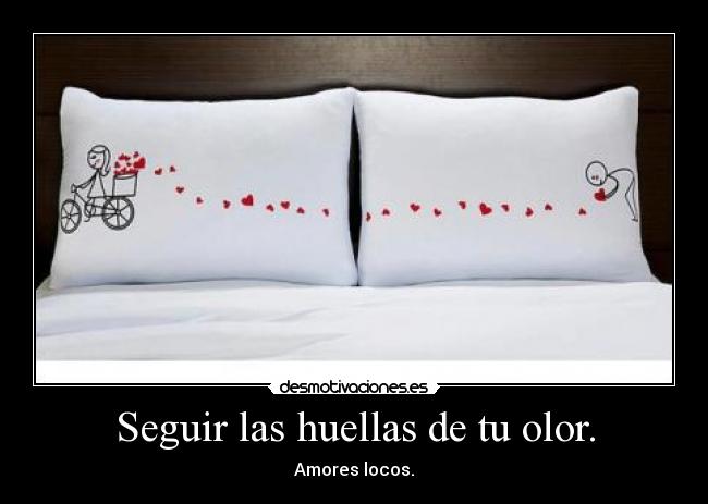 Seguir las huellas de tu olor. - 