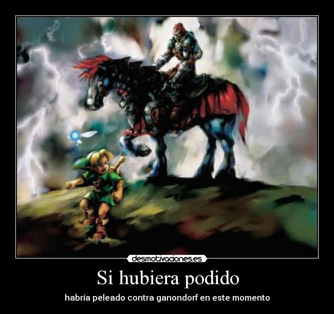 Si hubiera podido - habría peleado contra ganondorf en este momento