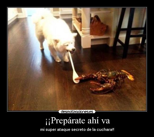 ¡¡Prepárate ahí va -