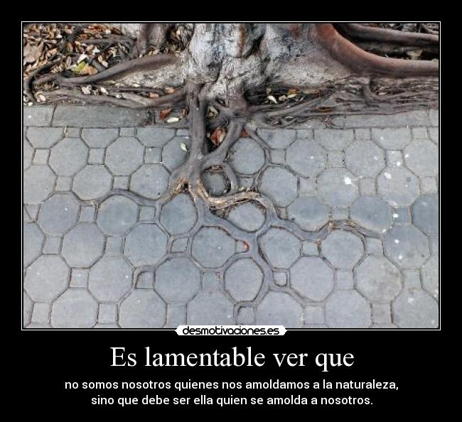 Es lamentable ver que - no somos nosotros quienes nos amoldamos a la naturaleza,
sino que debe ser ella quien se amolda a nosotros.