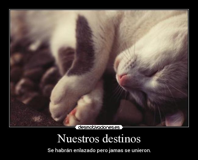 Nuestros destinos - Se habrán enlazado pero jamas se unieron.