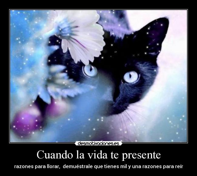 Cuando la vida te presente - razones para llorar,  demuéstrale que tienes mil y una razones para reír