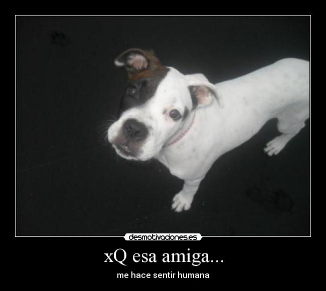 carteles perla desmotivaciones