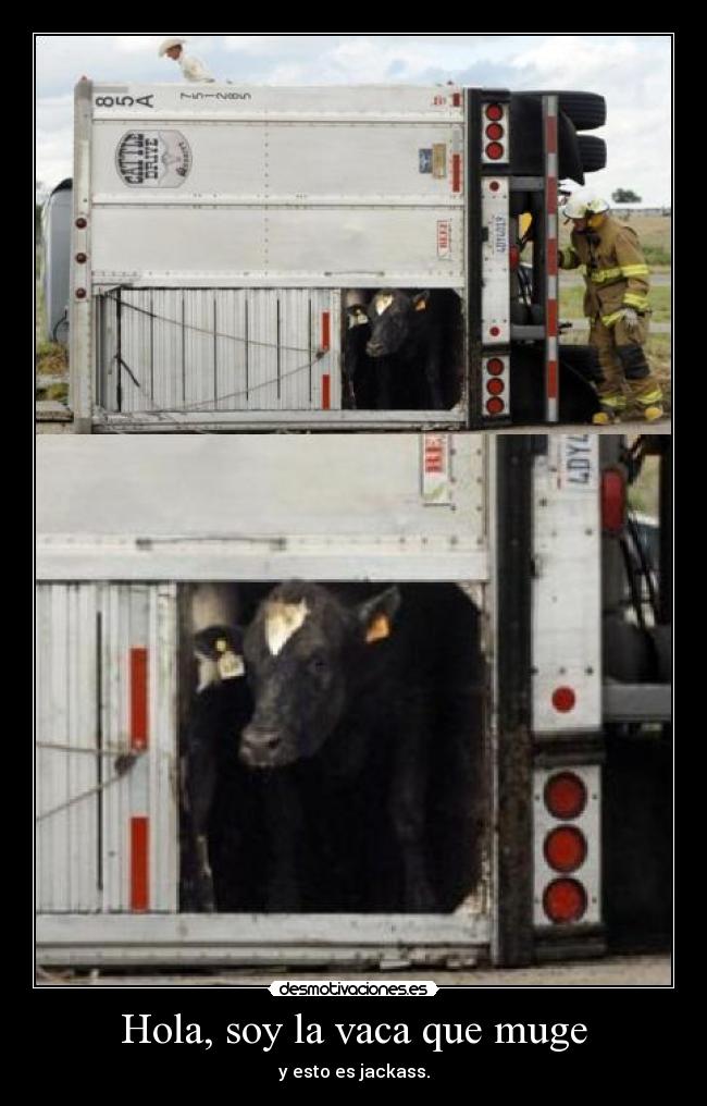 Hola, soy la vaca que muge -