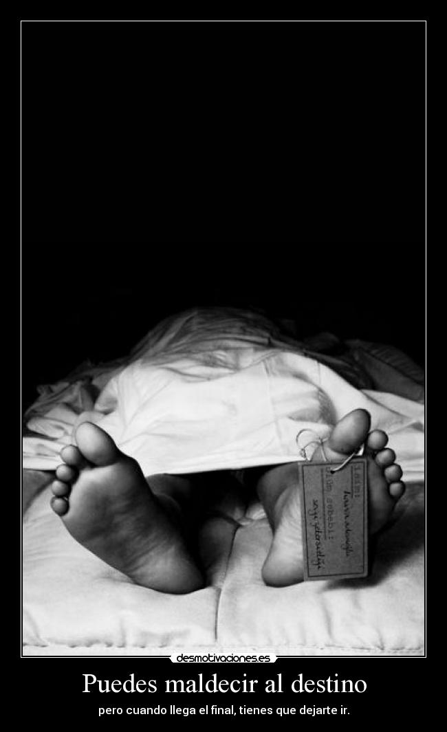 carteles destino destiny circleoflife desmotivaciones