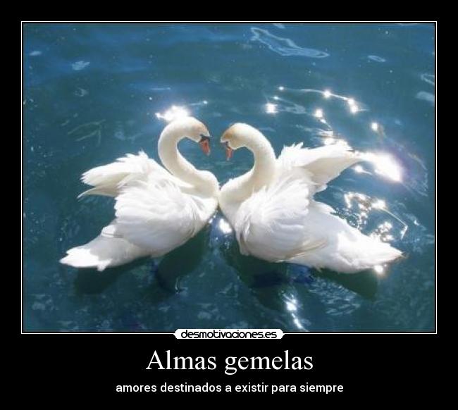 Almas gemelas - amores destinados a existir para siempre