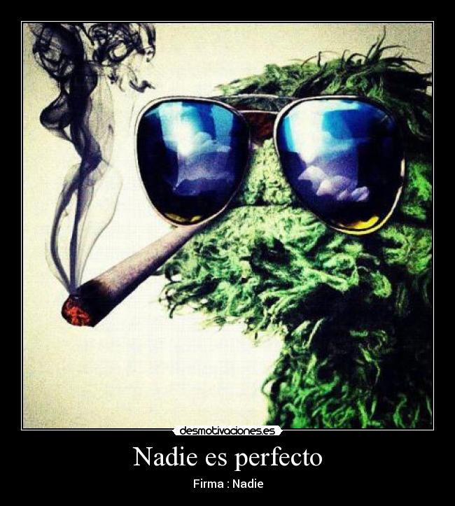Nadie es perfecto - Firma : Nadie