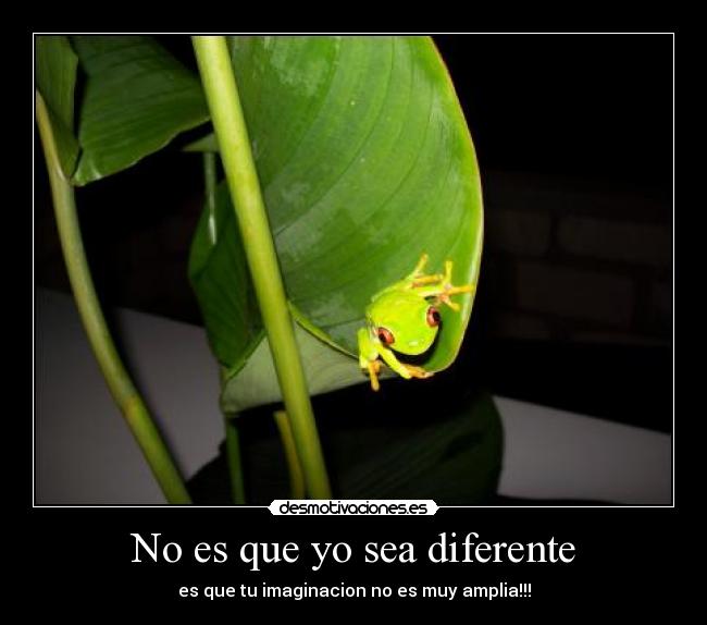 carteles animales desmotivaciones