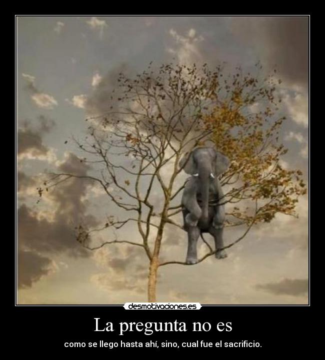 carteles stronghold17 xxxxxx lucha por que quiere xxxxx desmotivaciones