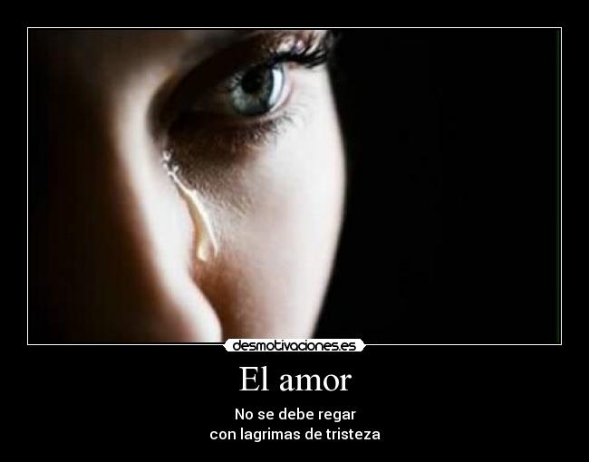 El amor -