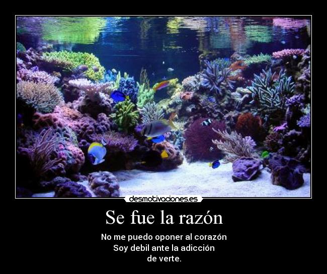 carteles razon desmotivaciones