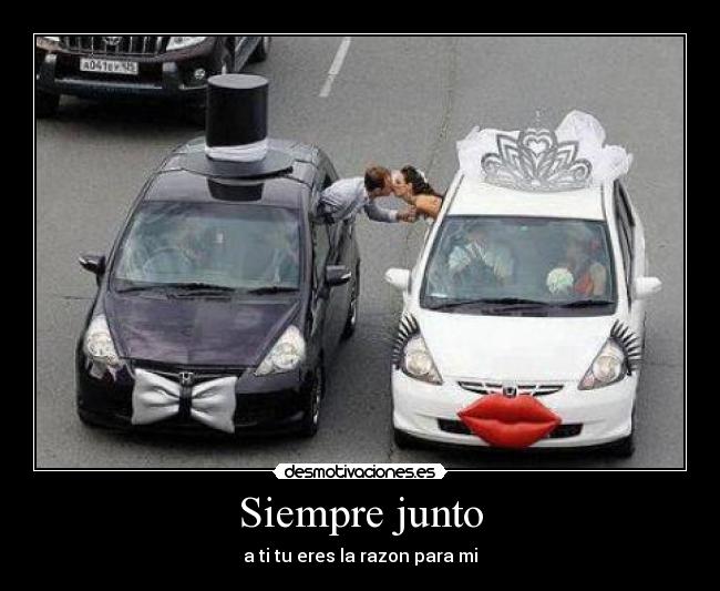 Siempre junto - a ti tu eres la razon para mi