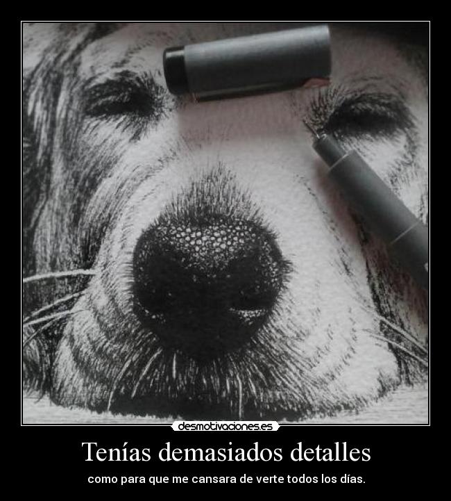 Tenías demasiados detalles - como para que me cansara de verte todos los días.