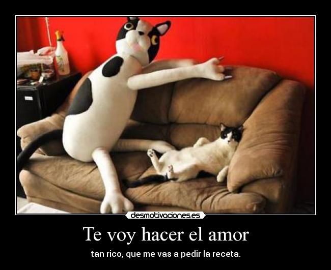 carteles amor amor entra por cama desmotivaciones