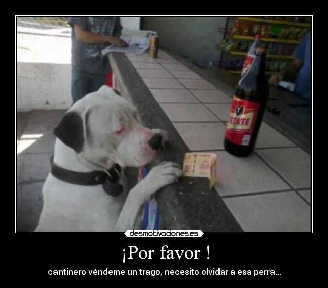 ¡Por favor ! - cantinero véndeme un trago, necesito olvidar a esa perra...