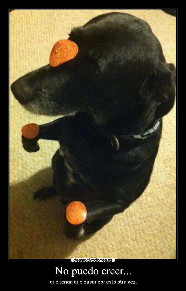 No puedo creer... - que tenga que pasar por esto otra vez.