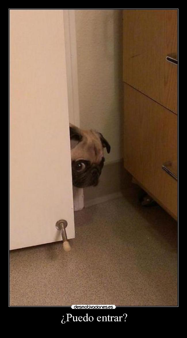 ¿Puedo entrar? -