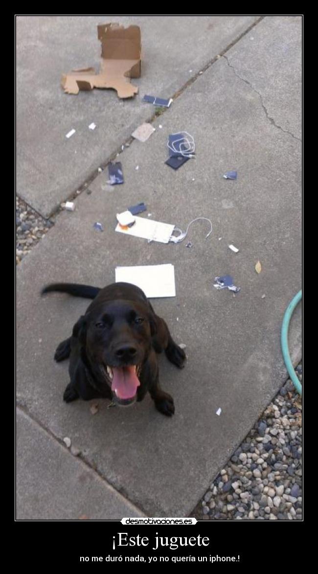 ¡Este juguete - no me duró nada, yo no quería un iphone.!