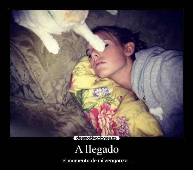 A llegado - el momento de mi venganza...