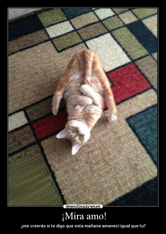 ¡Mira amo! - ¿me creerás si te digo que esta mañana amanecí igual que tu?