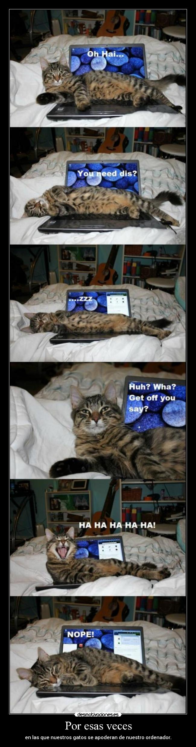 Por esas veces - en las que nuestros gatos se apoderan de nuestro ordenador.