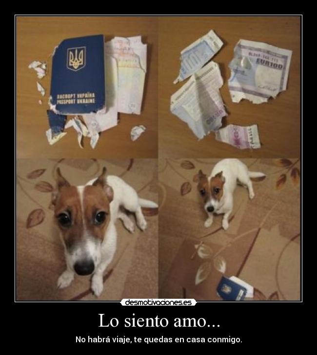 Lo siento amo... - No habrá viaje, te quedas en casa conmigo.