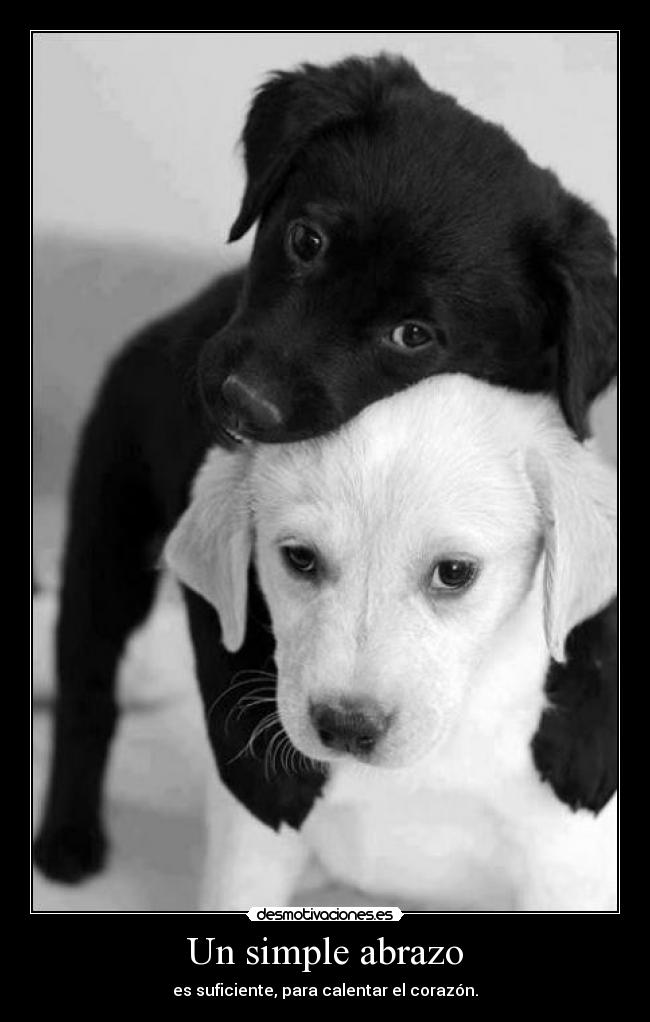 Un simple abrazo - es suficiente, para calentar el corazón.