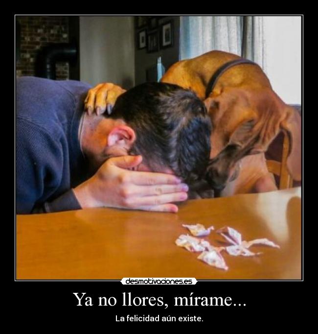 Ya no llores, mírame... - La felicidad aún existe.