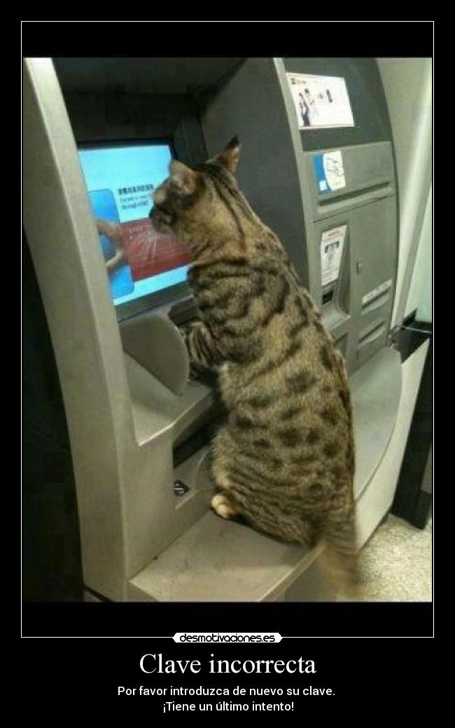 Clave incorrecta - Por favor introduzca de nuevo su clave.
¡Tiene un último intento!