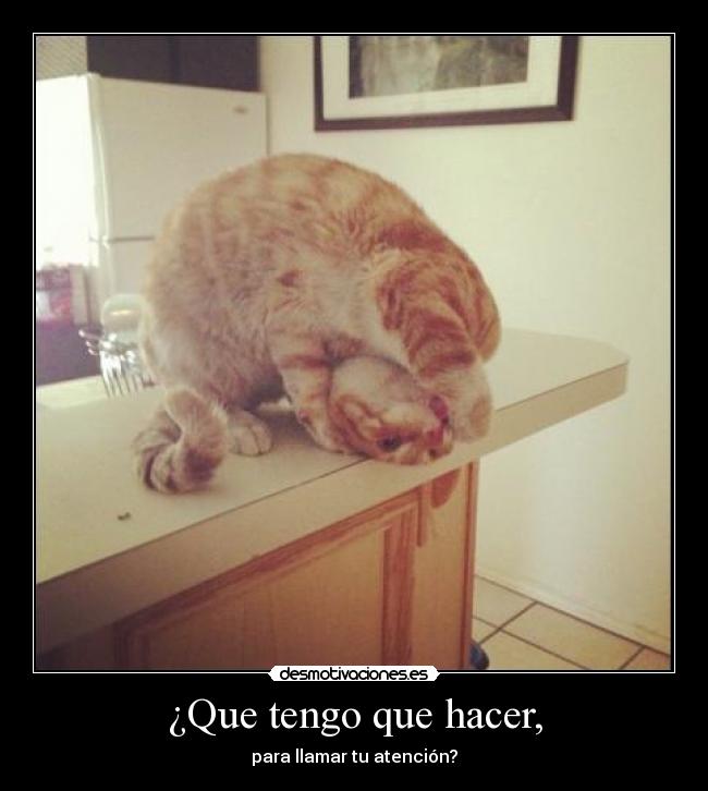 ¿Que tengo que hacer, - para llamar tu atención?