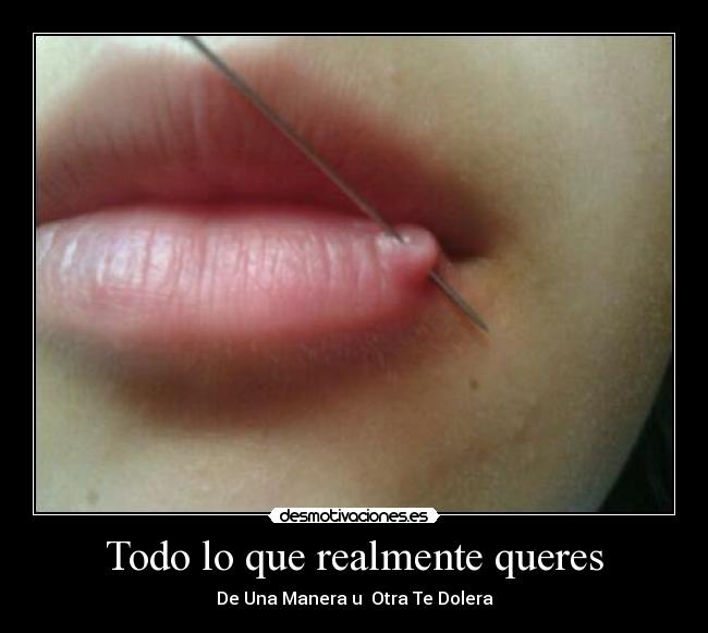 Todo lo que realmente queres - 