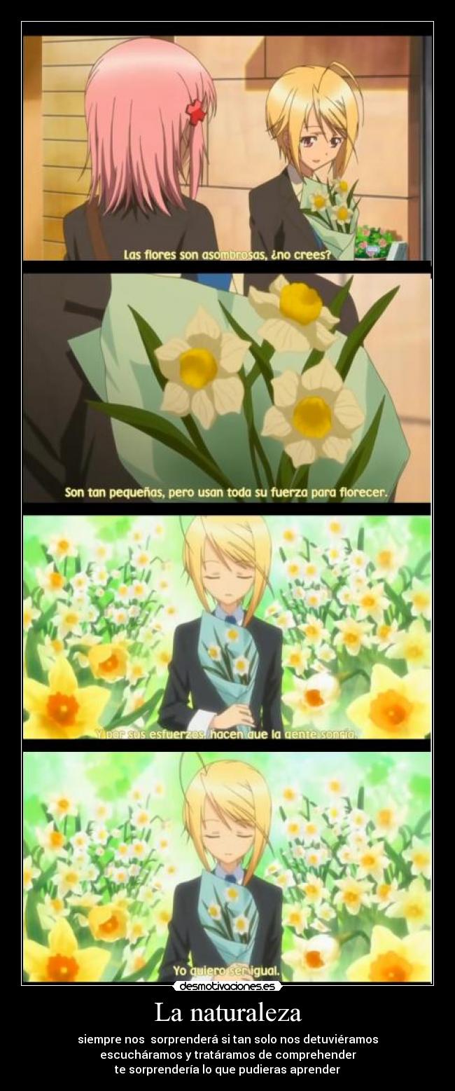 carteles naturaleza anime naturaleza humanidad entender comprender aprender love tadase shugo chara desmotivaciones