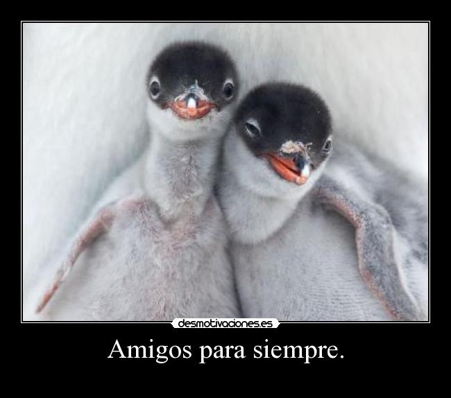 Amigos para siempre. -