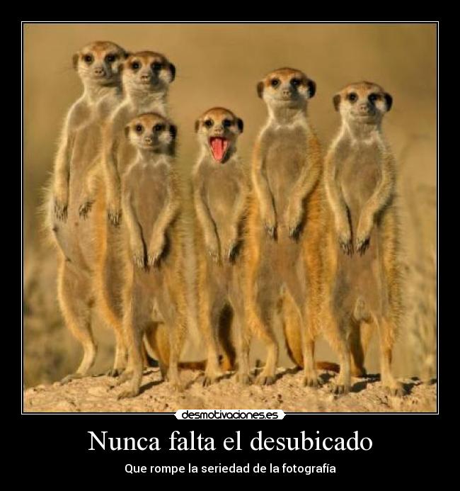 Nunca falta el desubicado - Que rompe la seriedad de la fotografía