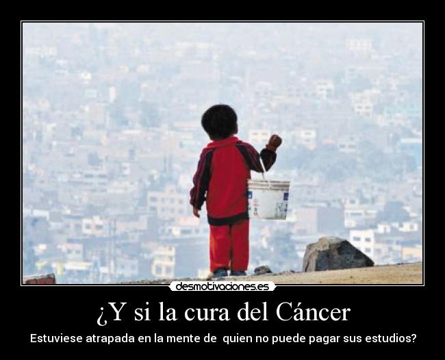 ¿Y si la cura del Cáncer -