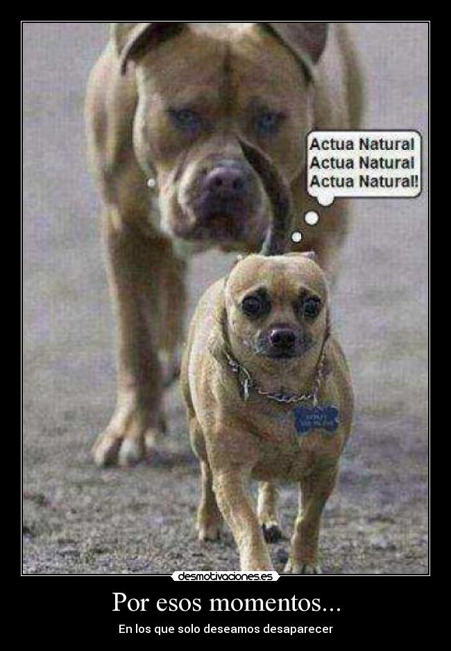 Por esos momentos... - En los que solo deseamos desaparecer