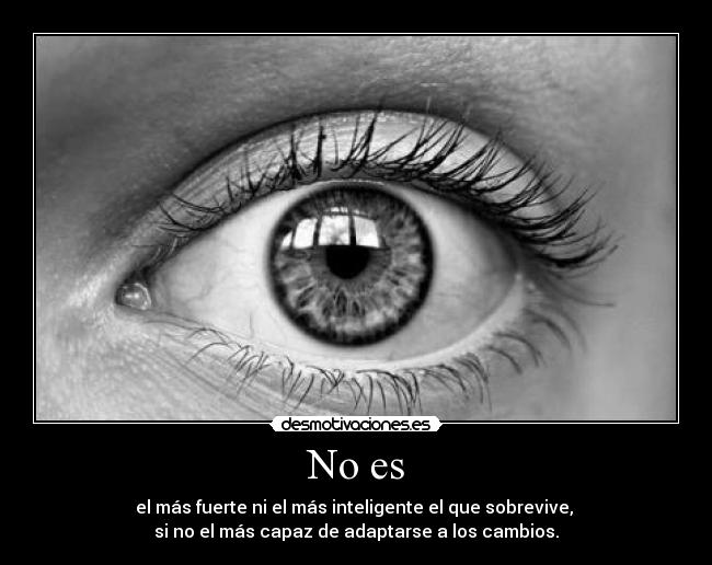 No es - el más fuerte ni el más inteligente el que sobrevive,
si no el más capaz de adaptarse a los cambios.