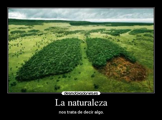La naturaleza - nos trata de decir algo.