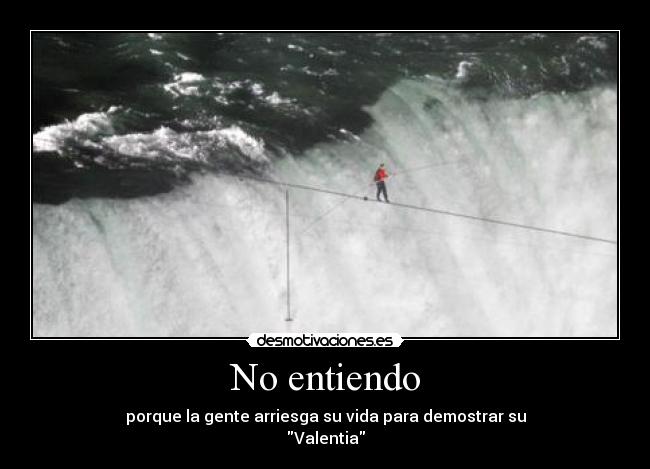 carteles entiendo desmotivaciones